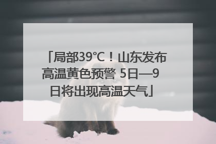 局部39℃！山东发布高温黄色预警 5日—9日将出现高温天气